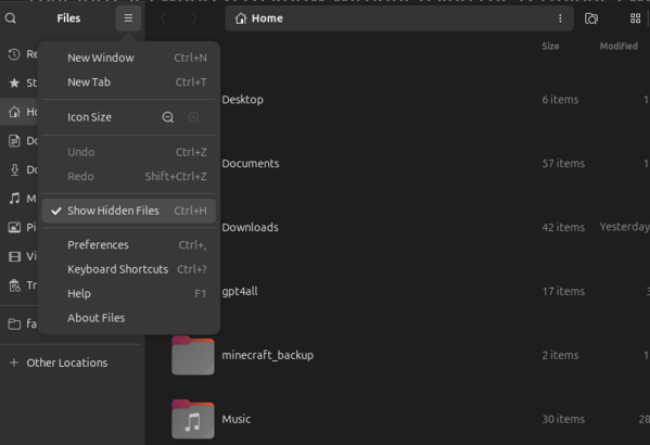 Hamburger menu is expanded and mouse is scrolled down to the 'Show Hidden Files' selection