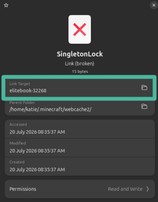 Highlighting the "Link Target" section at the top of the file properties pop up window
