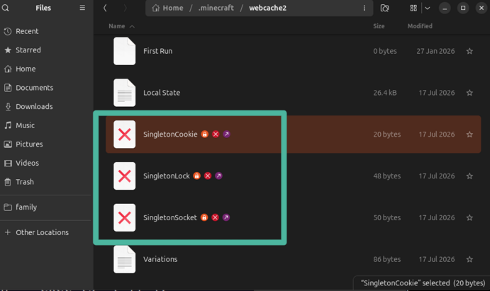 The 3 files you need to delete have a red X file icon